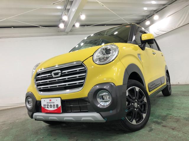 �@��o�����̃A�N�e�B�o���ׂ��܂����B���̃{�f�B�J���[�Ɠ����J���[�I���Ќ��ɗ��Ă��������i�O�O�j�^