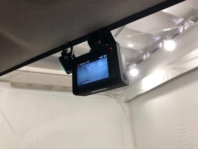 ������̎��ɗ����h�����R�t���B