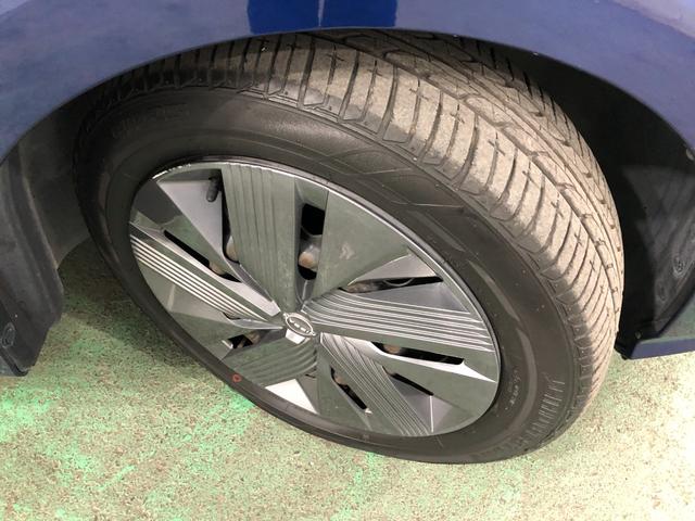 ���[����܂��A���}���̕��������k���������i�O�O�j�^