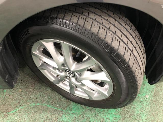 ���[����܂��A���}���̕��������k���������i�O�O�j�^