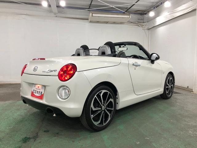 �K���X�n�{�f�B�R�[�e�B���O���l�C�ł���@���ʂ����������^�C�v�̃A���C�W���O�R�[�g�����X�̃I�X�X���I