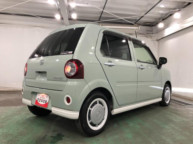 �K���X�n�{�f�B�R�[�e�B���O���l�C�ł���@���ʂ����������^�C�v�̃A���C�W���O�R�[�g�����X�̃I�X�X���I