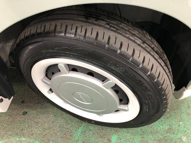 ���[����܂��A���}���̕��������k���������i�O�O�j�^