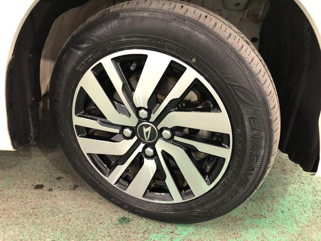 ���[����܂��A���}���̕��������k���������i�O�O�j�^