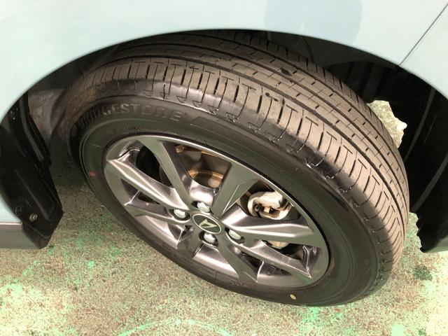 ���[����܂��A���}���̕��������k���������i�O�O�j�^