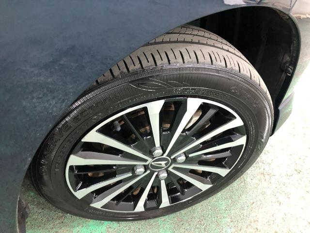 ���[����܂��A���}���̕��������k���������i�O�O�j�^