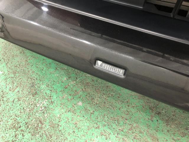 ���f���X�^�G�A������