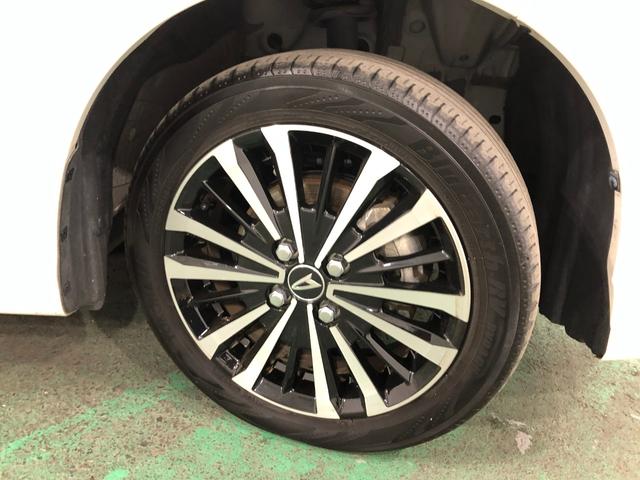 ���[����܂��A���}���̕��������k���������i�O�O�j�^