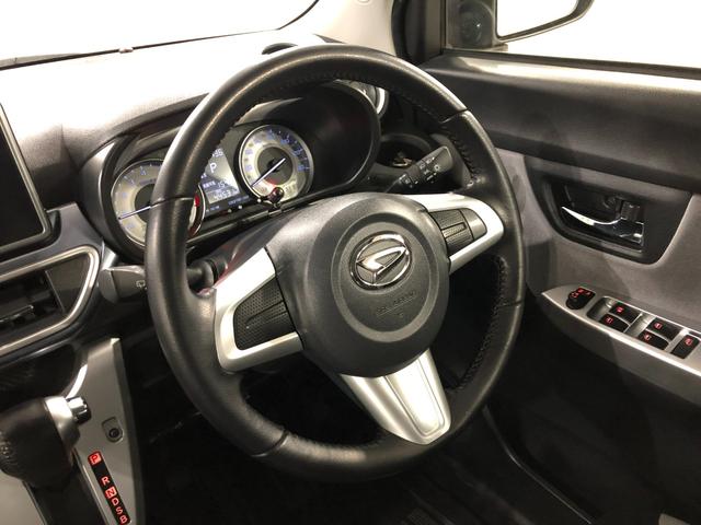 ���[����܂��A���}���̕��������k���������i�O�O�j�^