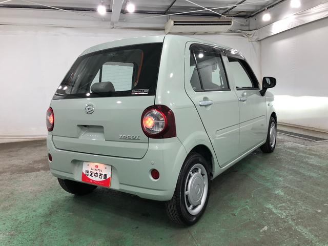 �K���X�n�{�f�B�R�[�e�B���O���l�C�ł���@���ʂ����������^�C�v�̃A���C�W���O�R�[�g�����X�̃I�X�X���I