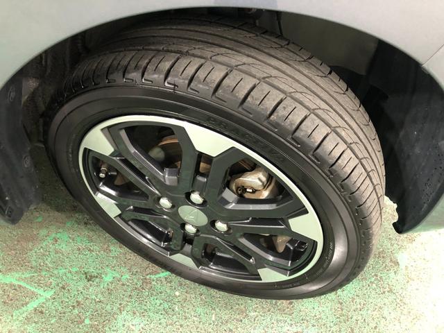 ���[����܂��A���}���̕��������k���������i�O�O�j�^