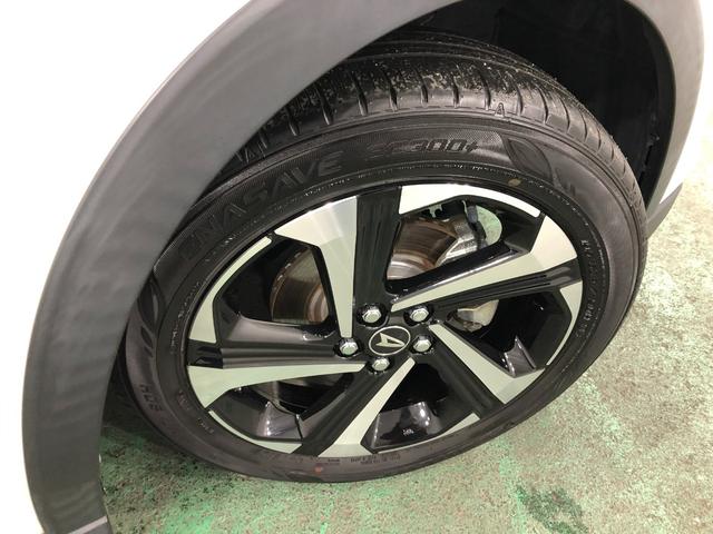 ���[����܂��A���}���̕��������k���������i�O�O�j�^