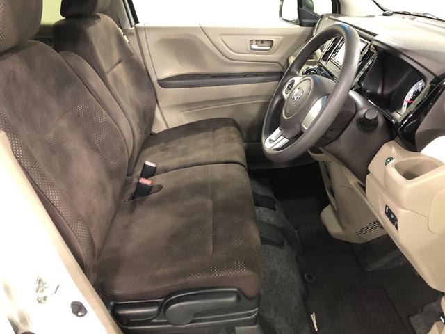 ���[����܂��A���}���̕��������k���������i�O�O�j�^