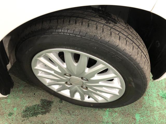 ���[����܂��A���}���̕��������k���������i�O�O�j�^