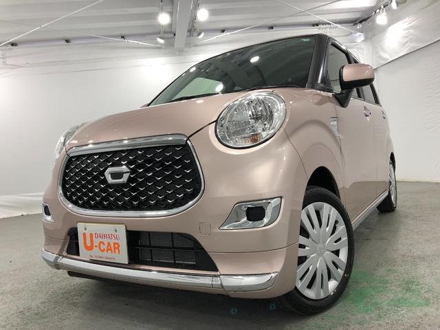 スタイルX リミテッド SAIII(7枚目)
