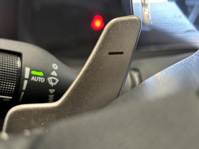 IS  トヨタセーフティセンス(後期型)(禁煙車)(レーダークルーズ)(黒ハーフレザー)(パワーシート)(シートヒーター)(レーンアシスト)(アイドリングストップ)(パドルシフト)(純正18インチAW)(48枚目)