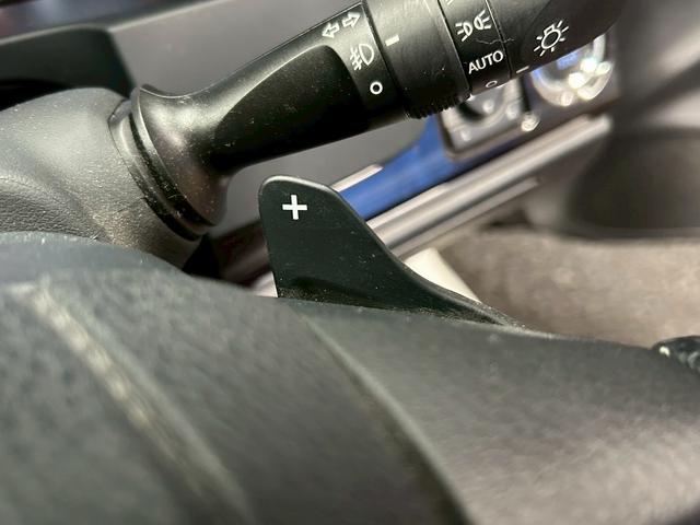 �X�|�[�c���s�K�{�́y�p�h���V�t�g��z�n���h����������ɑf�����M�A�̕ϑ��ƈ��肵���h���C�r���O���\�ł���