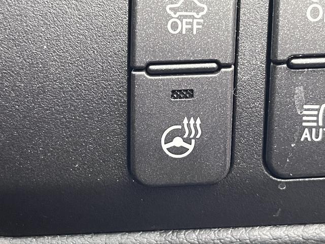 �y�X�e�A�����O�q�[�^�[�z�X�e�A�����O�́A������󋵉��ő��삷�邽�߂X���P�T���h�ʒu�Ƀq�[�^�[��z�u���Ă���܂���