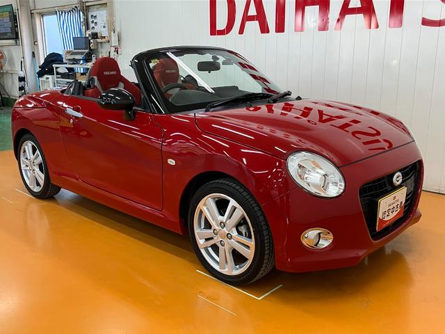 �E�O����