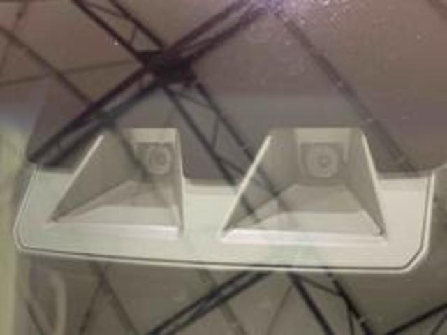 �X�}�A�V�t