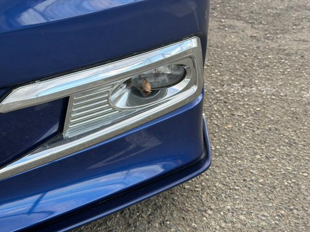 �t�H�O�����v�t���Ŗ�ԑ��s������w���邭���S�ł��I