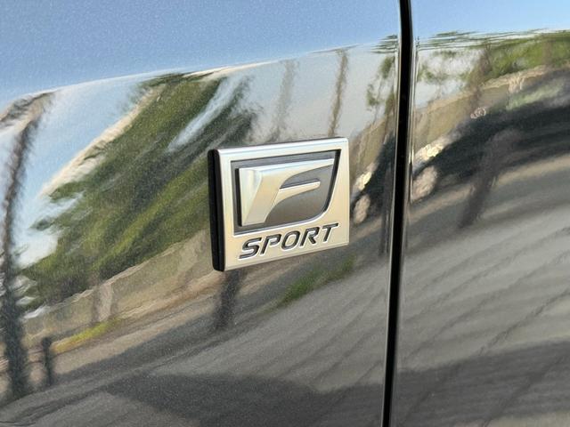 RX RX500h Fスポーツパフォーマンス RX500h Fスポーツパフォーマンス(5名)モデリスタエアロ マークレビンソン(29枚目)