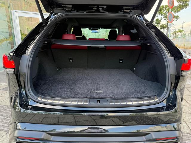 RX RX500h Fスポーツパフォーマンス RX500h Fスポーツパフォーマンス(5名)モデリスタエアロ マークレビンソン(52枚目)