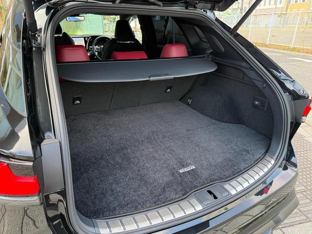 RX RX500h Fスポーツパフォーマンス RX500h Fスポーツパフォーマンス(5名)モデリスタエアロ マークレビンソン(54枚目)