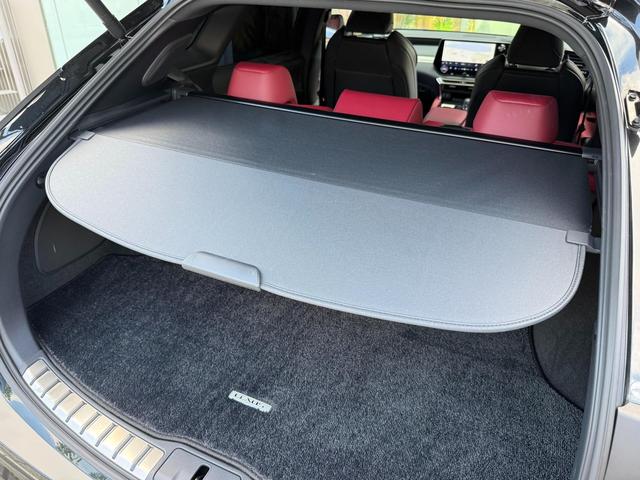 RX RX500h Fスポーツパフォーマンス RX500h Fスポーツパフォーマンス(5名)モデリスタエアロ マークレビンソン(55枚目)