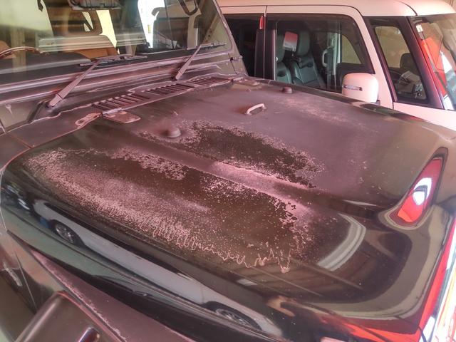 ボンネット　フロントフェンダーの塗装が痛んでます