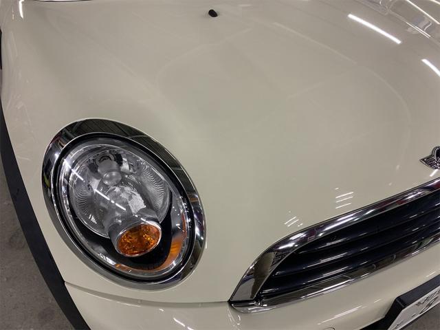 ワン(36枚目)