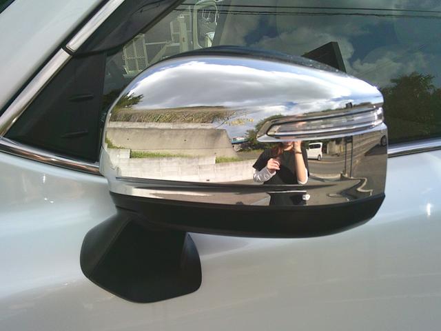 ランドクルーザー ＺＸ（18枚目）