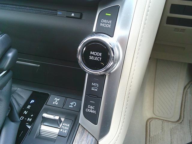 ランドクルーザー ＺＸ（59枚目）