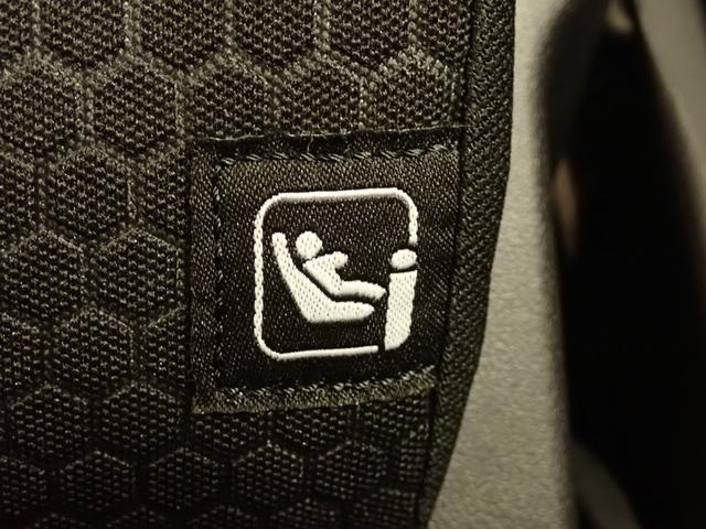 ハスラー タフワイルド 3型 全方位モニター付ナビ スズキコネクト ナビ 全方位カメラ ACC スズキコネクト 衝突被害軽減ブレーキ リヤパーキングセンサー ルーフレール LEDヘッドランプ ハイビームアシスト フロアマット シートヒーター サイド・カーテンエアバック(40枚目)