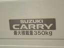 安心の最大積載量350kg!!
