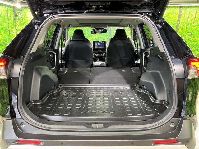 ＲＡＶ４ アドベンチャー　サンルーフ　バックカメラ　純正ディスプレイオーディオ　トヨタセーフティセンス　ブラインドスポットモニター　パワーバックドア　スマートキー　レーダークルーズコントロール　車線逸脱警報　ＥＴＣ（10枚目）