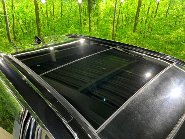 ＲＡＶ４ アドベンチャー　サンルーフ　バックカメラ　純正ディスプレイオーディオ　トヨタセーフティセンス　ブラインドスポットモニター　パワーバックドア　スマートキー　レーダークルーズコントロール　車線逸脱警報　ＥＴＣ（23枚目）