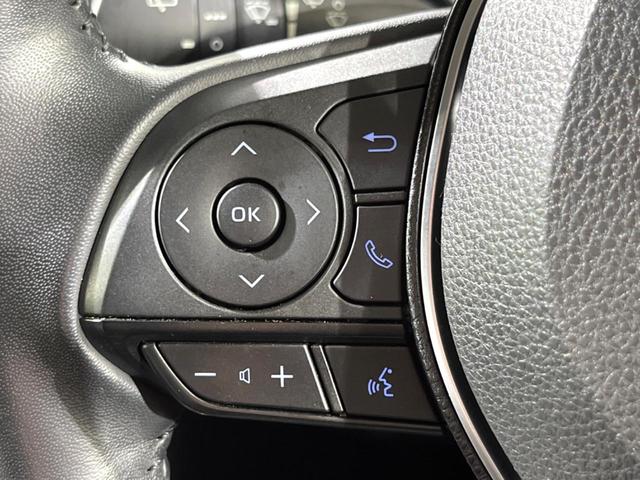ＲＡＶ４ アドベンチャー　サンルーフ　バックカメラ　純正ディスプレイオーディオ　トヨタセーフティセンス　ブラインドスポットモニター　パワーバックドア　スマートキー　レーダークルーズコントロール　車線逸脱警報　ＥＴＣ（29枚目）