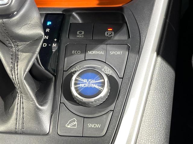 ＲＡＶ４ アドベンチャー　サンルーフ　バックカメラ　純正ディスプレイオーディオ　トヨタセーフティセンス　ブラインドスポットモニター　パワーバックドア　スマートキー　レーダークルーズコントロール　車線逸脱警報　ＥＴＣ（42枚目）