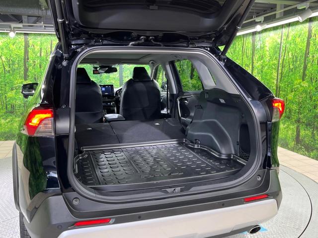ＲＡＶ４ アドベンチャー　サンルーフ　バックカメラ　純正ディスプレイオーディオ　トヨタセーフティセンス　ブラインドスポットモニター　パワーバックドア　スマートキー　レーダークルーズコントロール　車線逸脱警報　ＥＴＣ（46枚目）