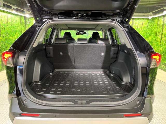 ＲＡＶ４ アドベンチャー　サンルーフ　バックカメラ　純正ディスプレイオーディオ　トヨタセーフティセンス　ブラインドスポットモニター　パワーバックドア　スマートキー　レーダークルーズコントロール　車線逸脱警報　ＥＴＣ（48枚目）