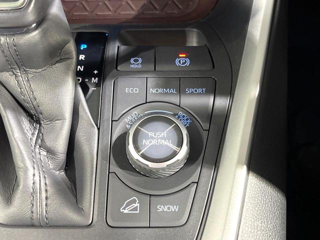 RAV4 G Zパッケージ 4WD 全周囲カメラ レーダークルーズ 禁煙車 電動リアゲート レザー調シート パワーシート コーナーセンサー スマートキー LEDヘッド ビルトインETC オートハイビーム 車線逸脱警報(30枚目)