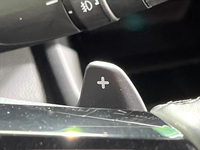 ステップワゴン e:HEVスパーダ プレミアムライン 両側電動ドア 純正SDナビ 後席モニター 全周囲カメラ 衝突被害軽減システム レーダークルーズ 禁煙車 電動リアゲート ハーフレザーシート ドラレコ コーナーセンサー スマートキー LEDヘッド(34枚目)