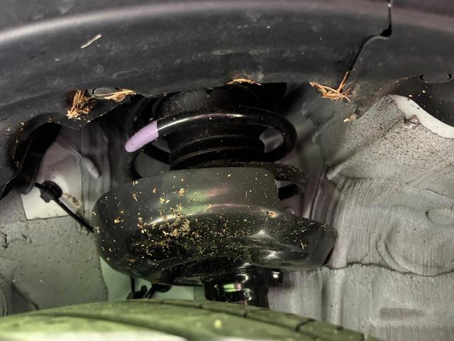 プリウス X バックカメラ 衝突被害軽減システム 禁煙車 ドラレコ コーナーセンサー スマートキー LEDヘッド ETC2.0 オートハイビーム 車線逸脱警報 オートライト オートエアコン Bluetooth(20枚目)