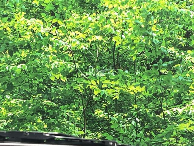 スペーシア ハイブリッドＸ　純正ナビ　両側電動ドア　全周囲カメラ　衝突被害軽減システム　禁煙車　シートヒーター　ドラレコ　コーナーセンサー　スマートキー　ＬＥＤヘッド　ビルトインＥＴＣ　純正１４インチアルミ　オートハイビーム（31枚目）