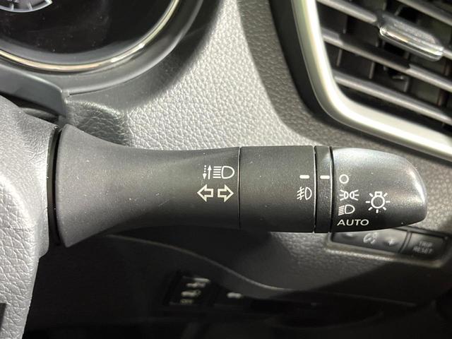 エクストレイル ２０Ｘ　エマージェンシーブレーキパッケージ　純正ＳＤナビ　全周囲カメラ　衝突被害軽減システム　電動リアゲート　ハーフレザーシート　ドラレコ　コーナーセンサー　スマートキー　ＬＥＤヘッド　ビルトインＥＴＣ　クルコン　純正１７インチアルミ（29枚目）