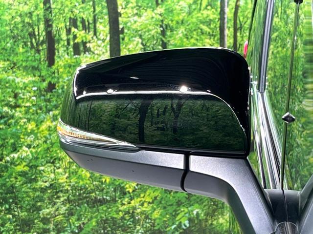 アルファード 2.5S Cパッケージ 両側電動ドア 後席モニター バックカメラ 衝突被害軽減システム レーダークルーズ 禁煙車 電動リアゲート レザー調シート 前席シートエアコン 前後席パワーシート ドラレコ コーナーセンサー(67枚目)