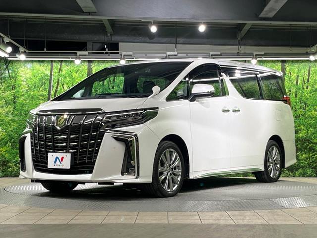 アルファード ２．５Ｓ　タイプゴールド　サンルーフ　両側電動ドア　純正ＳＤナビ　後席モニター　バックカメラ　衝突被害軽減システム　レーダークルーズ　禁煙車　電動リアゲート　ハーフレザーシート　ドラレコ　コーナーセンサー　スマートキー（64枚目）