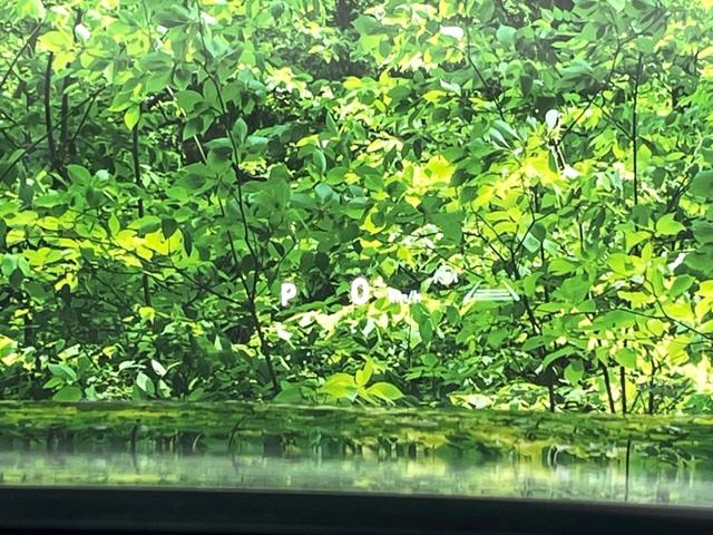 クラウンクロスオーバー Ｇアドバンスド・レザーパッケージ　４ＷＤ　全周囲カメラ　純正１２．３インチナビ　衝突被害軽減システム　禁煙車　レザーシート　前席シートエアコン　ドラレコ　コーナーセンサー　スマートキー　ＬＥＤヘッド　ＥＴＣ２．０　純正２１インチアルミ（43枚目）