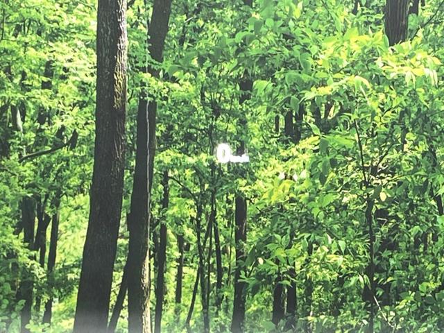 ＣＸ－５ ＸＤ　スマートエディション　１０．２５インチマツダコネクト　全周囲カメラ　スマートシティブレーキサポート　ドライブレコーダー　ＥＴＣ　レーダークルーズコントロール　ヘッドアップディスプレイ　純正１７インチアルミホイール（63枚目）